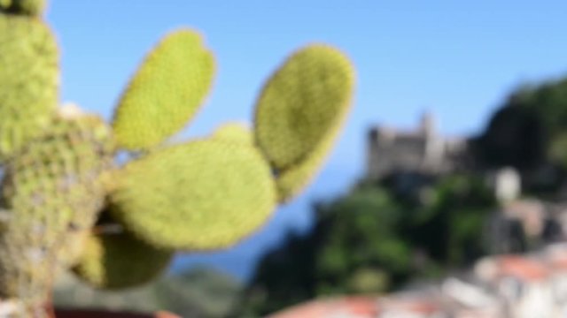 PAesaggio Siciliano dai monti peloritani al mar Ionio