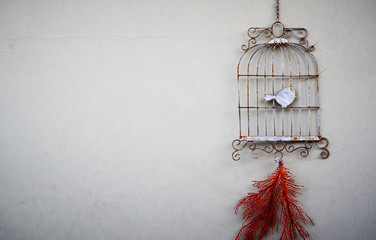Bird in a metal cage on wall