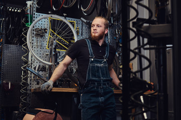 Fototapeta na wymiar Portrait of a handsome redhead male with beard and haircut wearing jeans coverall, standing near bicycle wheel in a workshop against wall tools.