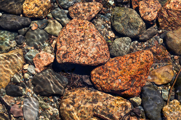 Clear water from stream in Acadia  