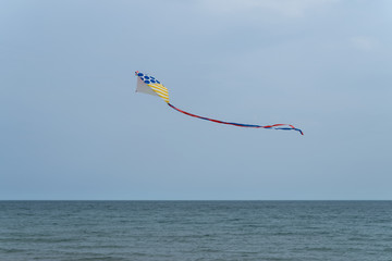 Kite flying in the sky on the background of sea