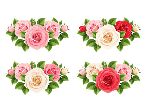 Vector set of red, pink and white roses isolated on a white background.