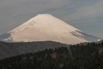 Mt Fuji