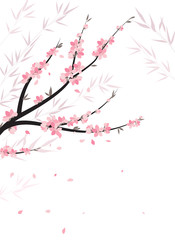 Vector decoration branches with flowers, spring blossom sakura.