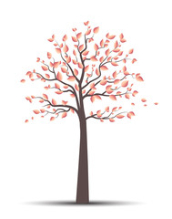 Vector illustration of autumn tree with falling leaves on a white background