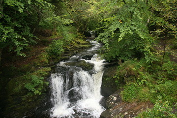 Fototapeta na wymiar Wasserfall im Killarney Nationalpark, Irland