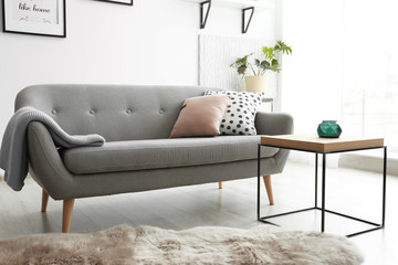 Cozy living room interior with comfortable sofa