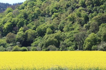 German Nature and Landscapes