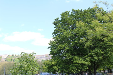 German Nature and Landscapes