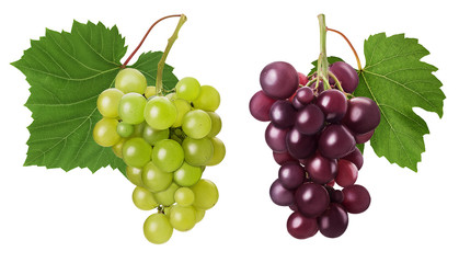 Fototapeta premium Set ripe bunch green and red grape with leaf