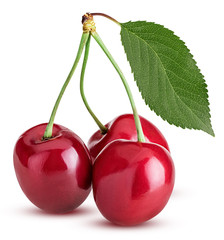 Sweet cherry berry, three on a branch with green leaf