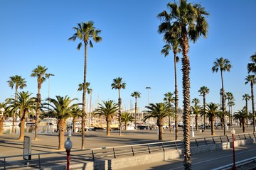 Obraz na płótnie Canvas Wide street with palm trees, blue sky. Embankment of Barcelona, Spain.