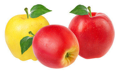 Fresh red and yellow apples with leaf isolated on white background with clipping path