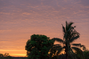 good morning at bright