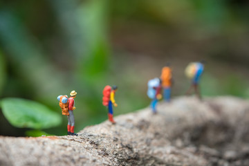 Miniature people, travelers trekking in rain forest. Travel and leisure concept.