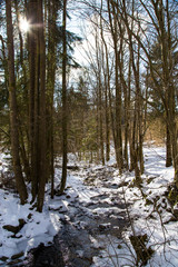 Kleiner Bach im Winter