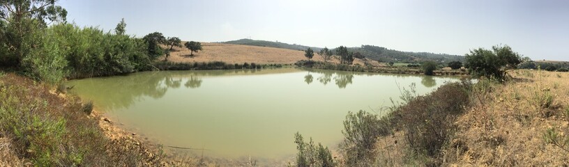 Habitat de água doce  lêntico