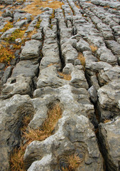 Limestone Pavement Burren Region Ireland 
