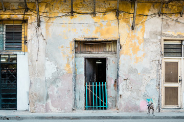 Fototapeta na wymiar Havana Street