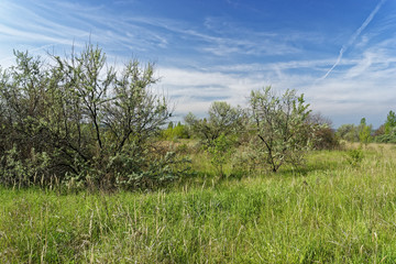 Geiseltalsee bei Mücheln, Burgenlandkreis, Sachsen-Anhalt, Deutschland