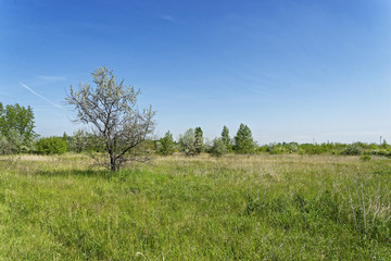 Geiseltalsee bei Mücheln, Burgenlandkreis, Sachsen-Anhalt, Deutschland