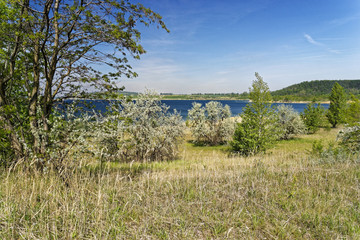 Geiseltalsee bei M&uuml;cheln, Burgenlandkreis, Sachsen-Anhalt, Deutschland