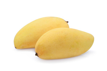 two whole ripe yellow mango isolated on white background
