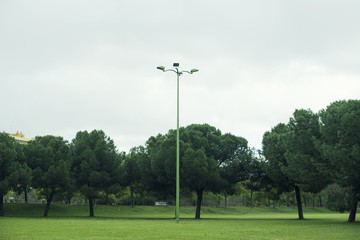 Parque solitario con árboles frondosos y una farola en el centro en un día gris de lluvia ligera.