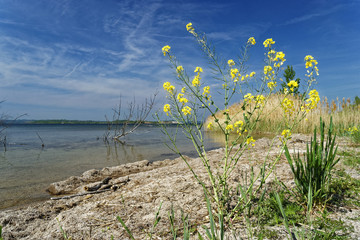 Geiseltalsee bei Mücheln, Burgenlandkreis, Sachsen-Anhalt, Deutschland