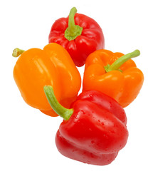 bell pepper