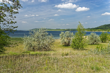 Geiseltalsee bei Mücheln, Burgenlandkreis, Sachsen-Anhalt, Deutschland