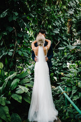 Portrait the groom and the bride standing back and kissing on the background of greenery. Wedding...