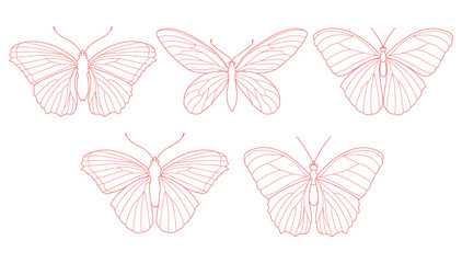 Butterflies for a different design. Butterflies isolated on white background. Vector illustration