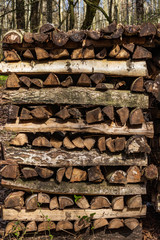wood piles properly stacked in the forest