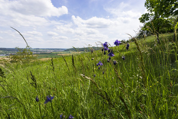 Landschaft der Karlstadter Trockenrasen im NSG Mäusberg, Unterfranken, Franken, Bayern, Deutschland