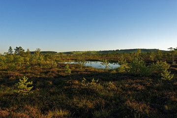 Das Naturschutzgebiet 