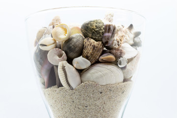 Glass Filled with Seashells, Corals and Beach Sand in White Background