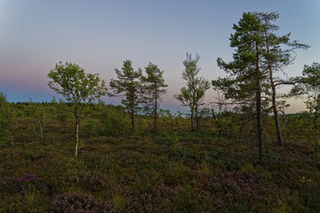 Obraz premium Das Naturschutzgebiet 