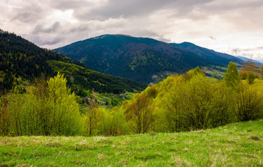 countryside of Carpathian mountains in springtime. beautiful nature scenery on a cloudy day