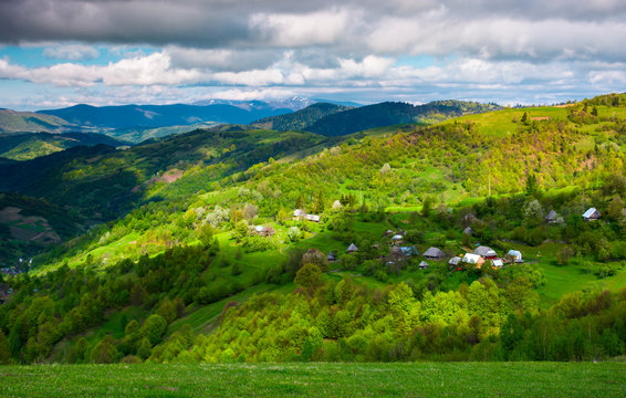village on a forested hillside in springtime. beautiful rural scenery of Carpathian mountains on a cloudy day