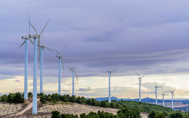 Wind part at sunset I