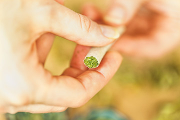 hand-rolled cigarette with cannabis