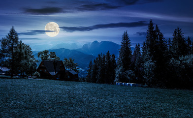 beautiful landscape of Tatra Mountains at night in full moon light. location Zakopane village, Poland. lovely scenery with forest on a grassy meadow and a ridge under the gorgeous sky in the distance - obrazy, fototapety, plakaty