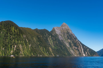 Felsküste vor Neuseeland