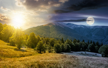 time change concept over the beech forest on grassy meadows in mountains. beautiful Landscape at...