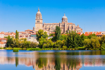 Salamanca Cathedral in Salamanca, Spain - obrazy, fototapety, plakaty