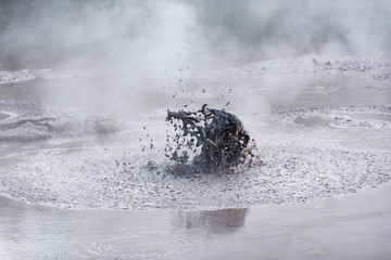 Mudpool Schlamm Fontäne Geothermal