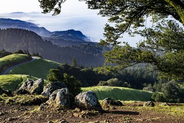 View from Mt Tam