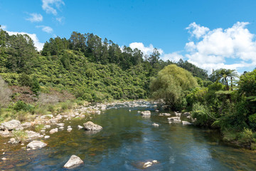 Fototapeta na wymiar Tropischer Fluss Neuseeland