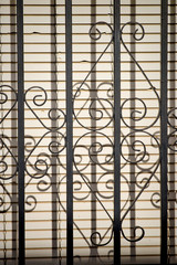 Window with bars